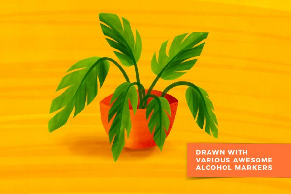 Product Photography for Online Marketplaces - Image 4